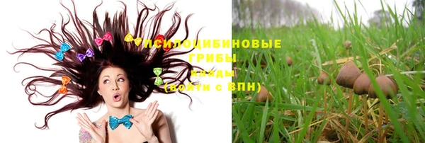 ГАЛЛЮЦИНОГЕННЫЕ ГРИБЫ Алзамай