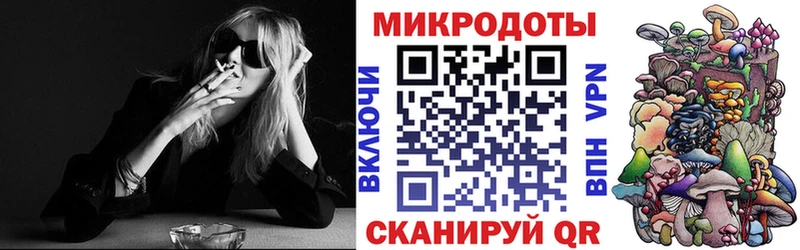 закладка  гидра вход  Галлюциногенные грибы Cubensis  Пыталово 